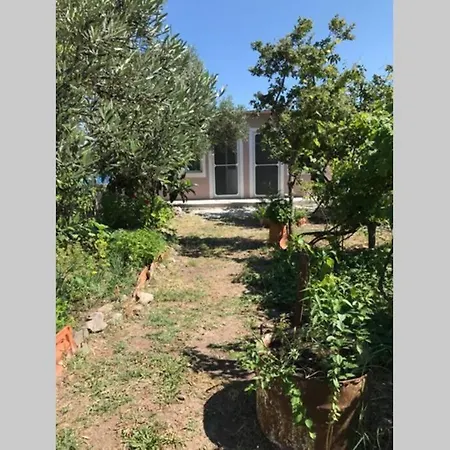 Doga,deniz,ozel Iskele Ve Ozel Banyo Sunan Odalar شقة *